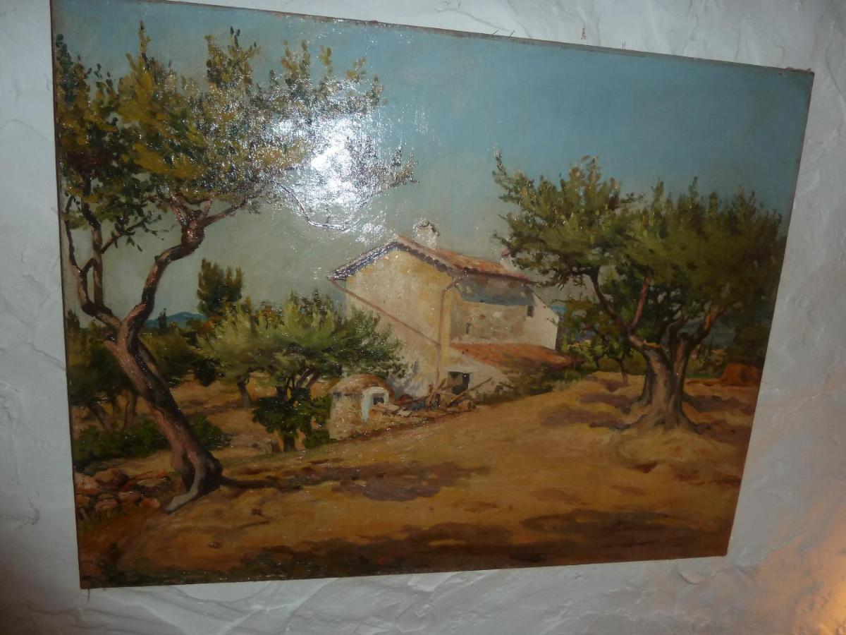 Villa Les Oliviers Draguignan Bagian luar foto