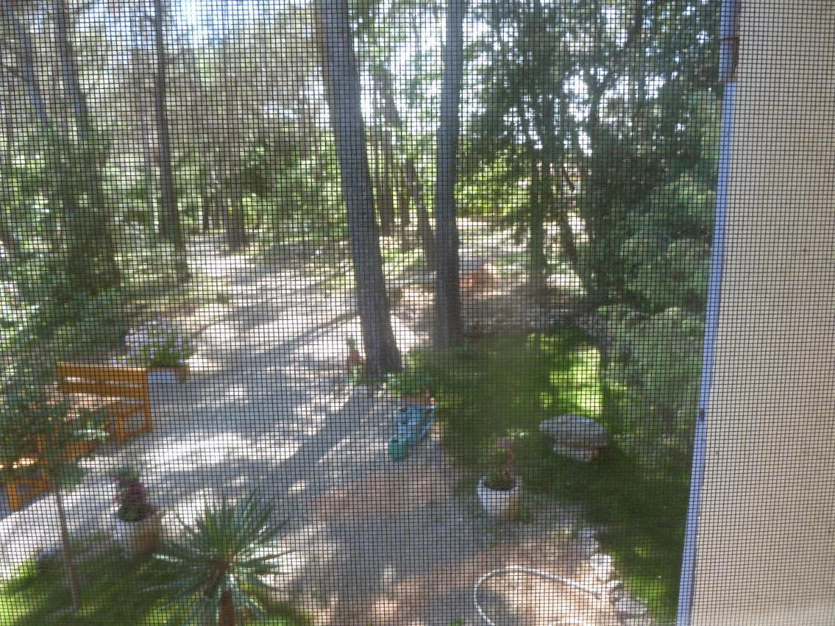 Villa Les Oliviers Draguignan Bagian luar foto